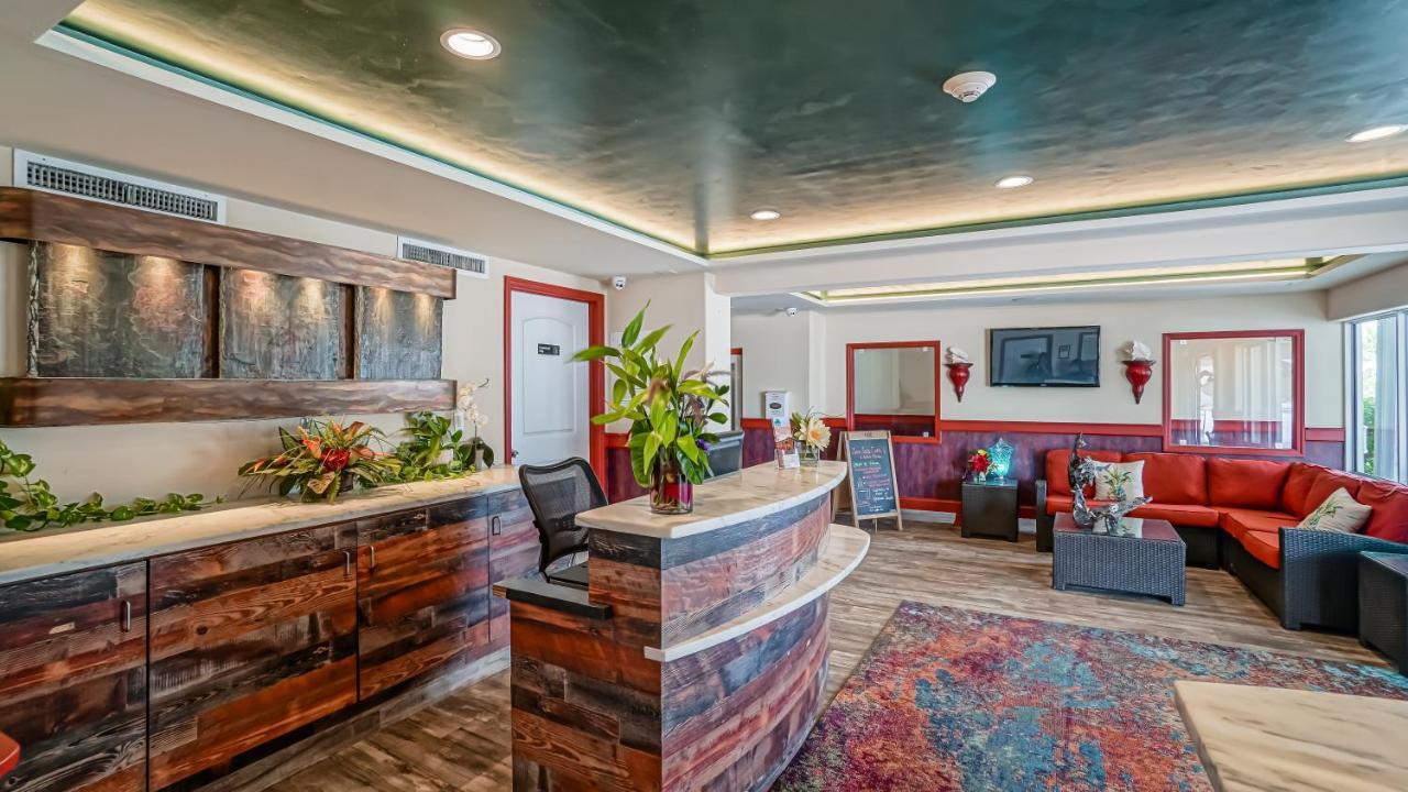 מרתון Glunz Ocean Beach Hotel And Resort מראה חיצוני תמונה