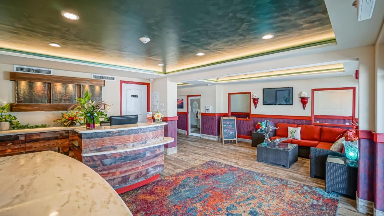 מרתון Glunz Ocean Beach Hotel And Resort מראה חיצוני תמונה